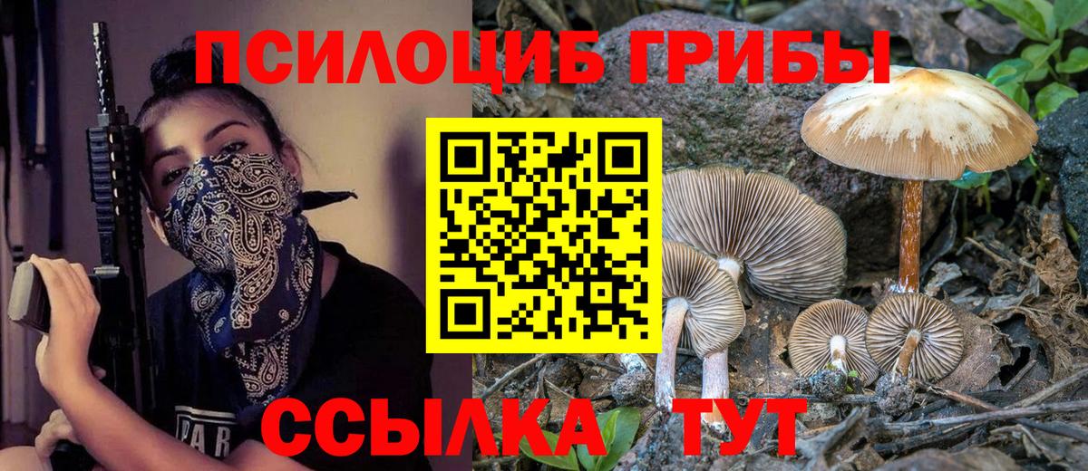 Выкса  Псилоцибиновые грибы Psilocybine cubensis  Галлюциногенные грибы мухоморы  Вход с VPN 