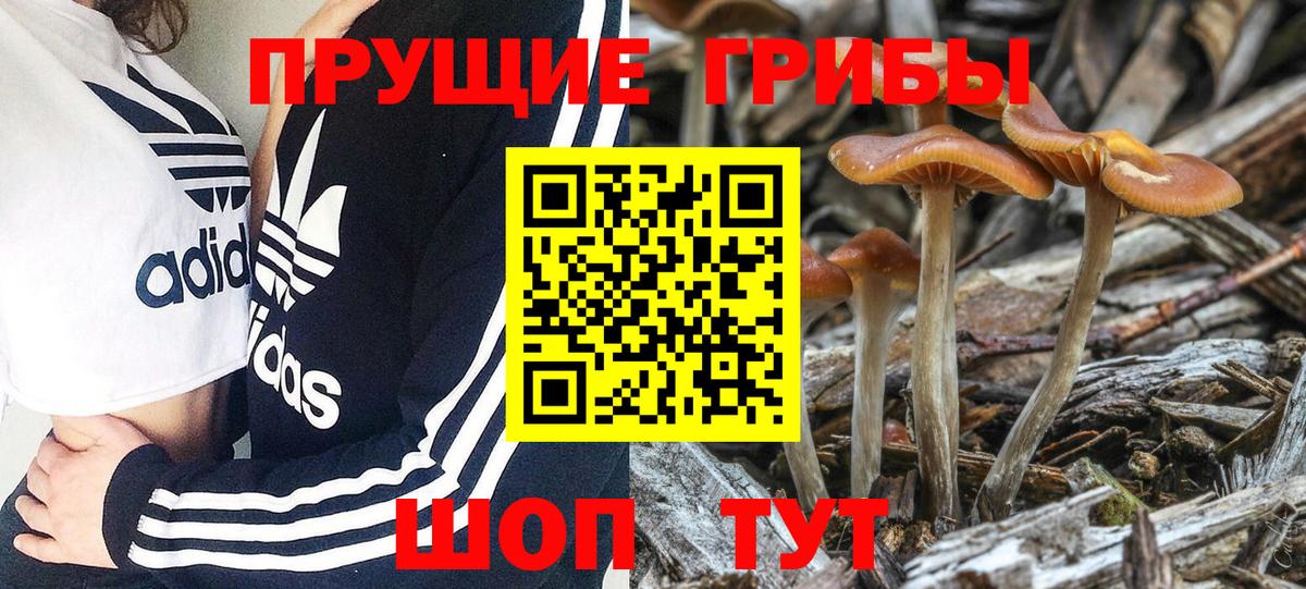 Галлюциногенные грибы мухоморы Выкса